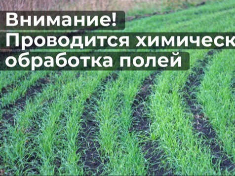 ВНИМАНИЕ!  ООО «Авангард-Агро-Курск» (Курская область, Черемисиновский район) предупреждает, что на земельных участках предприятия с 09 июля по 11 июля 2026 года будет проводиться наземная химическая обработка посевов ярового рапса в соответствии с график.