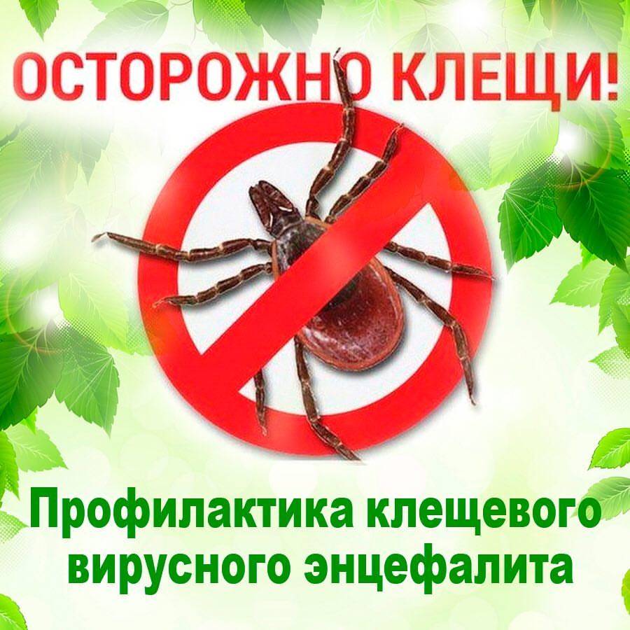 Горячая линия по вопросам профилактики клещевого энцефалита..