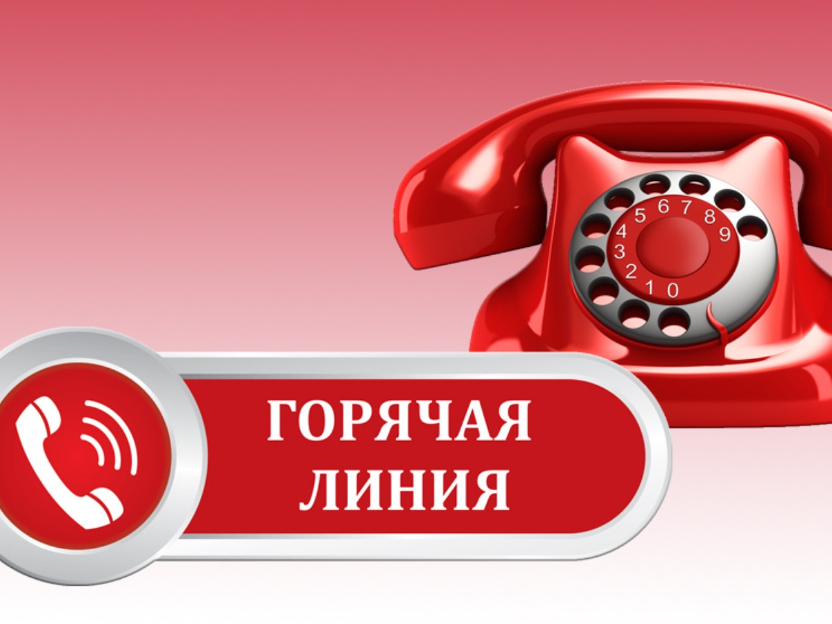 Консультирование граждан  по вопросам качества и безопасности детских товаров, школьных принадлежностей.