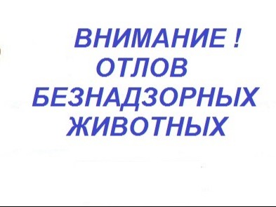 Реестр по отлову безнадзорных животных п. Черемисиново за апрель месяц 2026г..