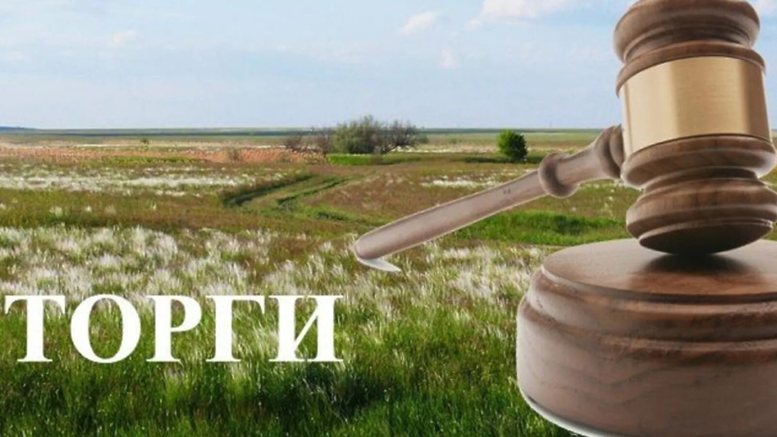 Аренда земельного участка.