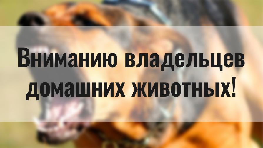 ВНИМАНИЮ ВЛАДЕЛЬЦЕВ ЖИВОТНЫХ!.