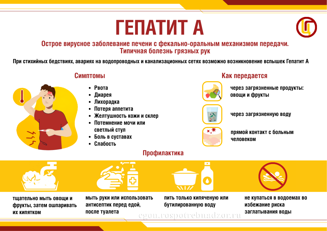 Профилактика заболеваемости вирусными гепатитами А и Е.
