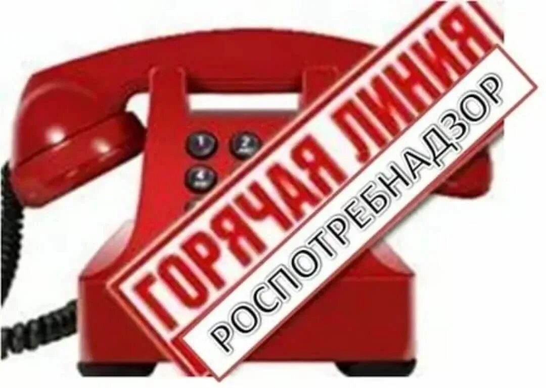 Консультирование граждан по вопросам качества и безопасности детских товаров, а также выбору новогодних подарков.